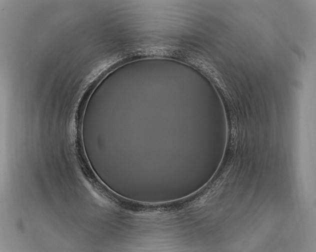 X0000111910674200908031138