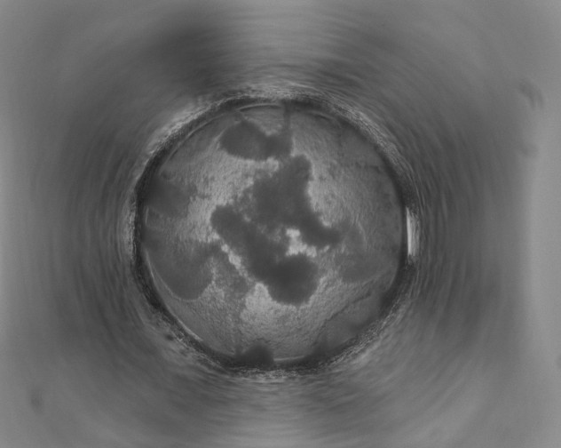 X0000111910675200908031138