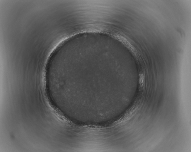 X0000111910676200908031138