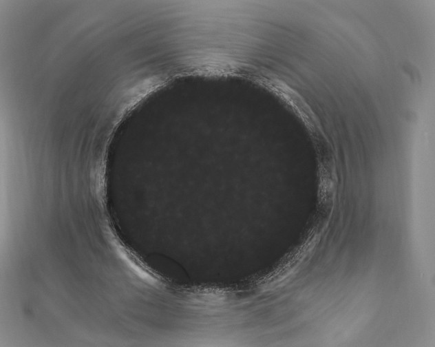 X0000111910677200908031138