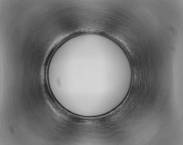 X0000111910678200908031138