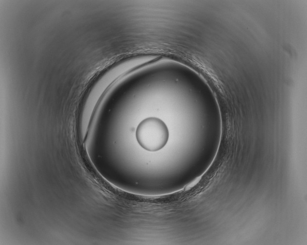 X0000111910681200908031138