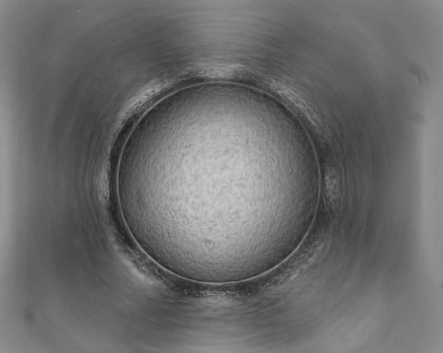 X0000111910682200908031138