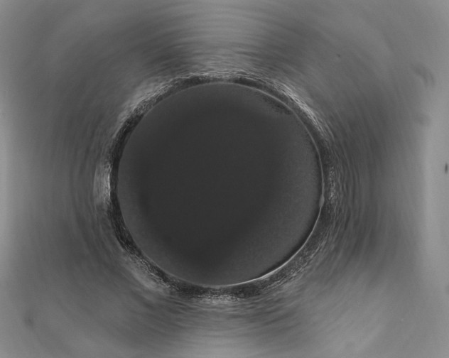 X0000111910685200908031138