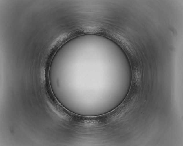 X0000111910686200908031138