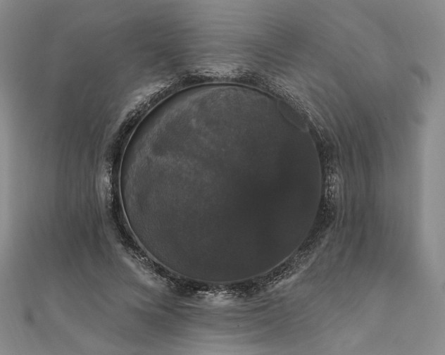 X0000111910688200908031138