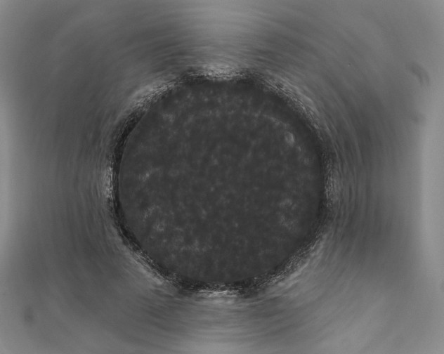 X0000111910689200908031138