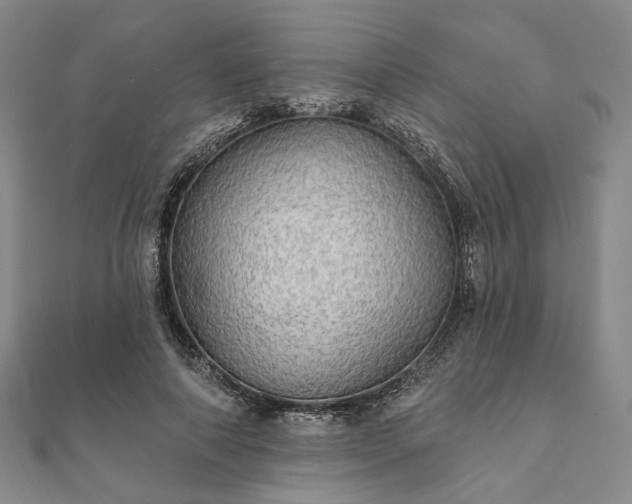 X0000111910690200908031138