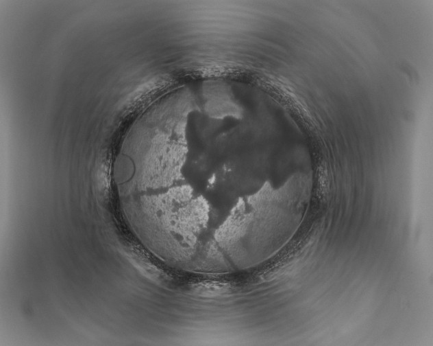 X0000111910691200908031138