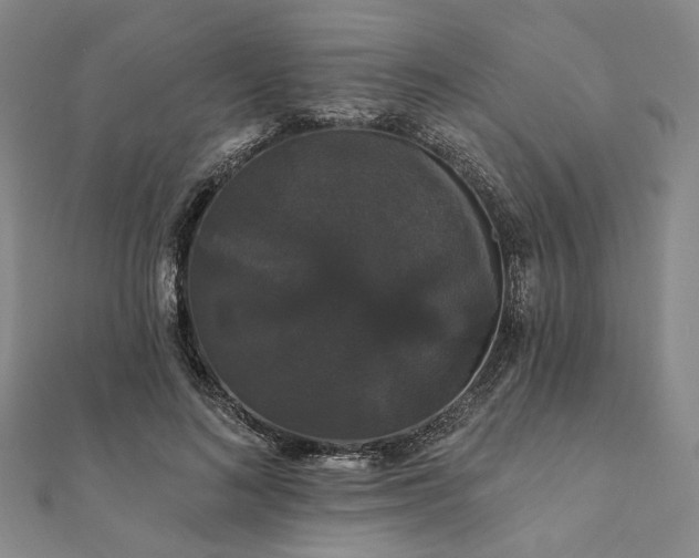 X0000111910692200908031138