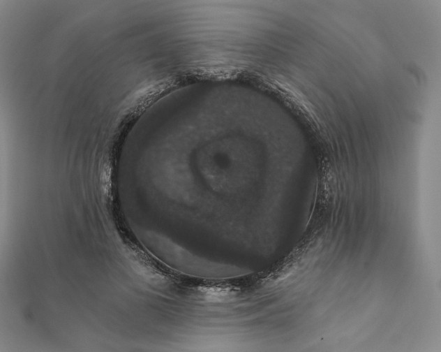 X0000111910693200908031138