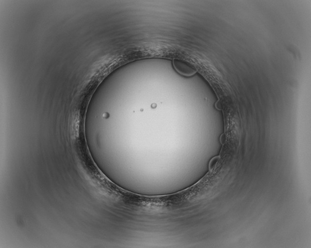 X0000111910694200908031138