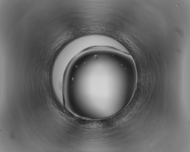 X0000111910696200908031138