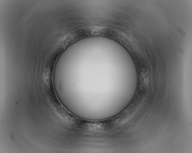 X0000111910698200908031138