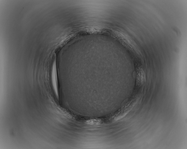 X0000111910700200908031138