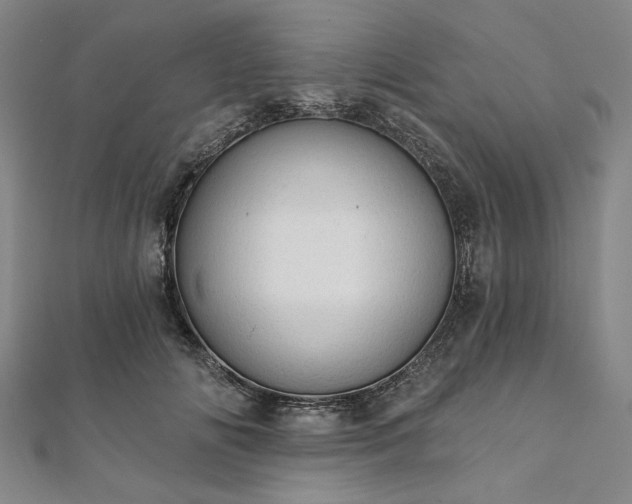 X0000111910702200908031138