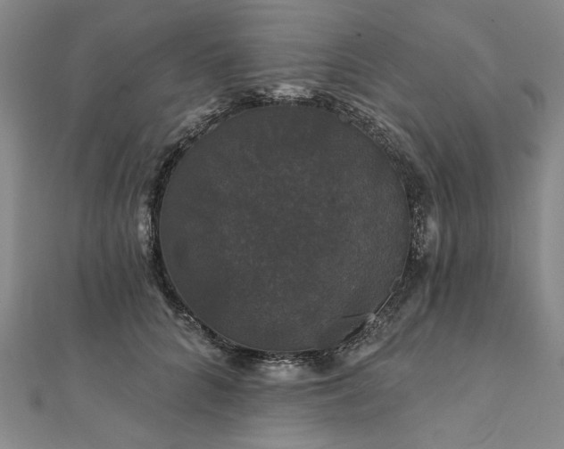 X0000111910704200908031138