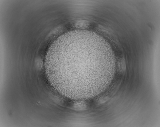X0000111910705200908031138