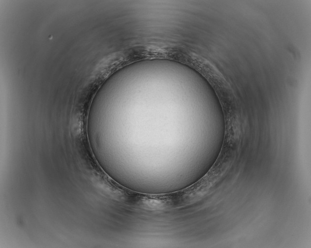 X0000111910706200908031138