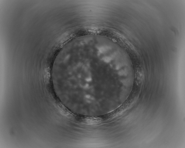X0000111910707200908031138