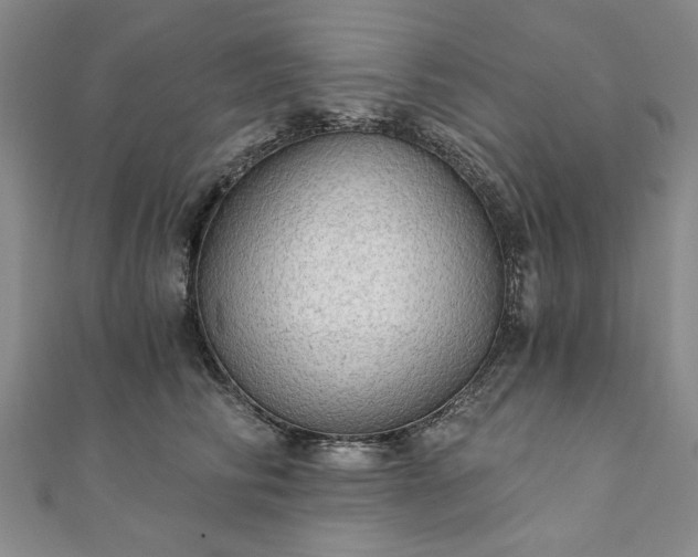 X0000111910710200908031137