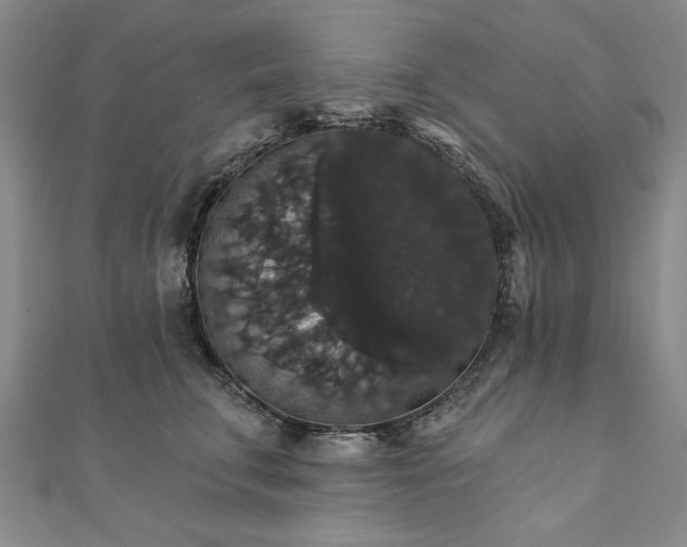 X0000111910711200908031137