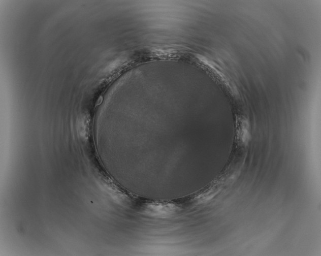 X0000111910712200908031137