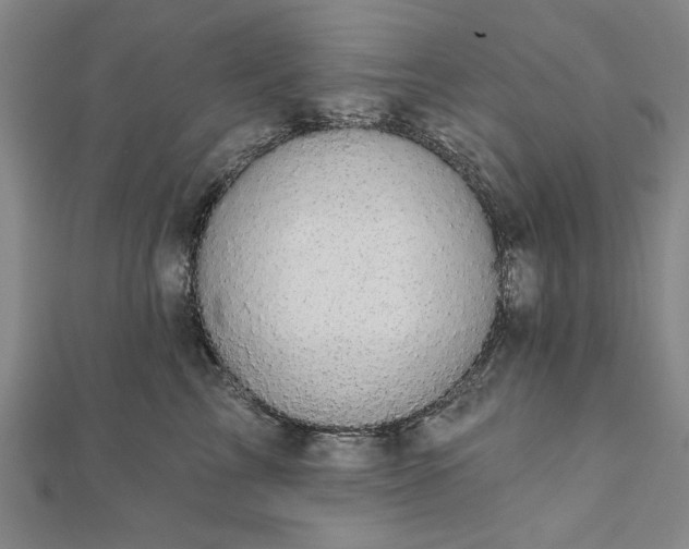 X0000111910713200908031137