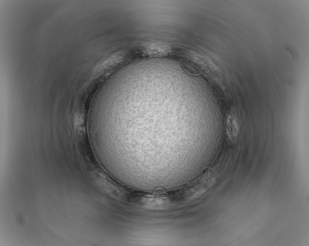 X0000111910714200908031137