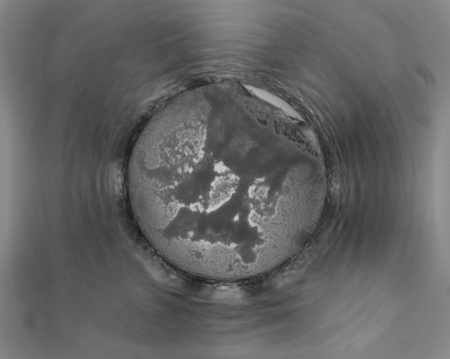 X0000111910715200908031137