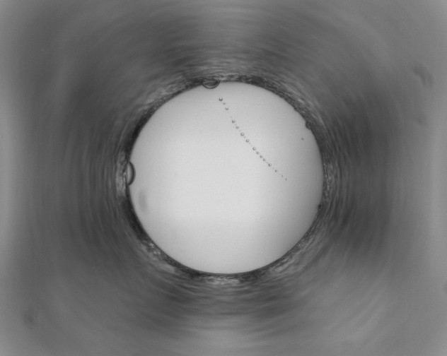 X0000111910719200908031137