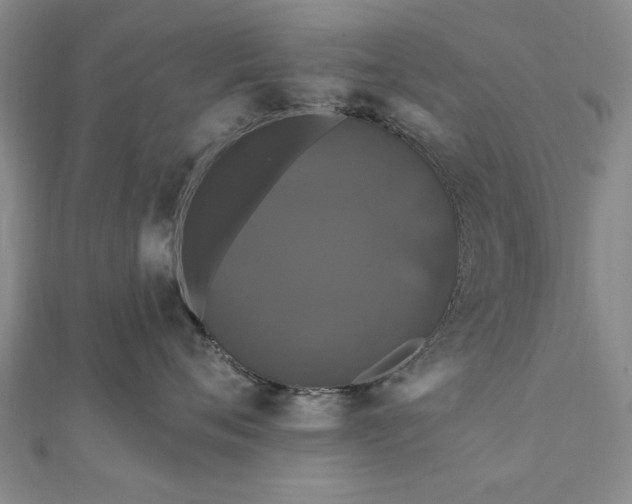 X0000111910720200908031137