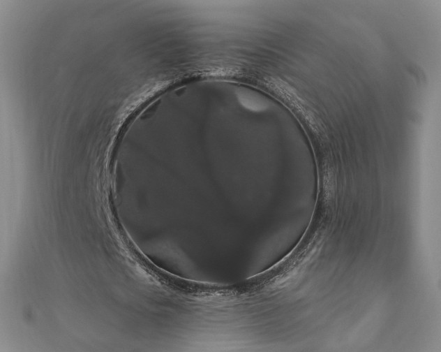 X0000111910721200908031137