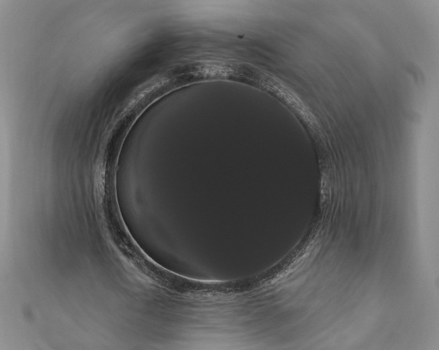 X0000111910722200908031137