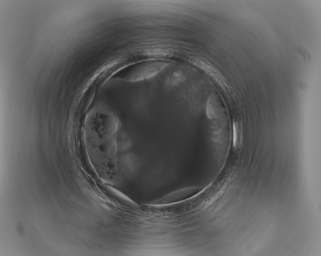 X0000111910723200908031137