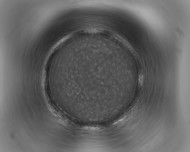 X0000111910724200908031137