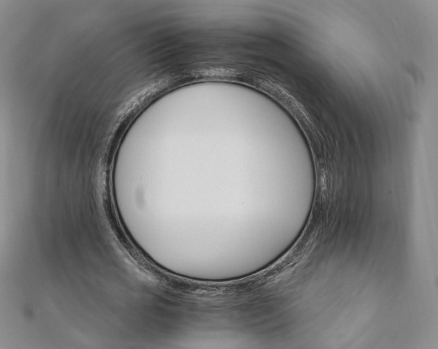 X0000111910725200908031137