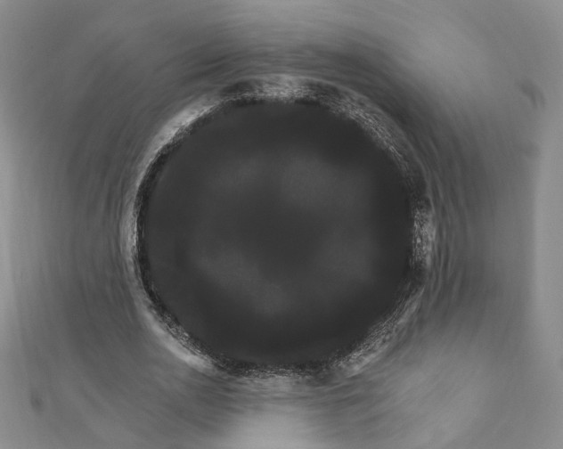 X0000111910726200908031137