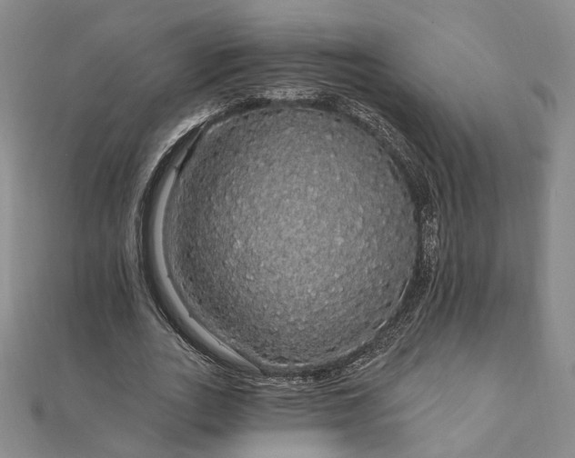 X0000111910727200908031137