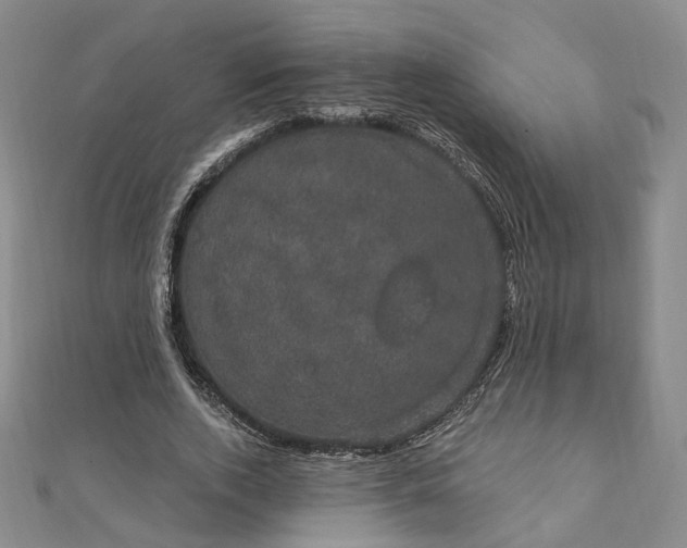 X0000111910728200908031137