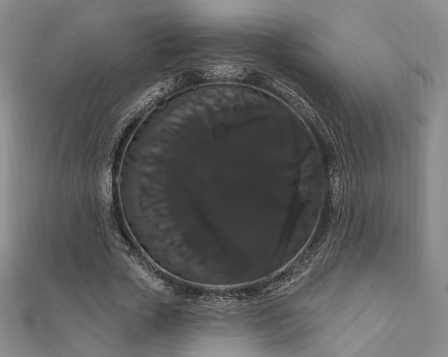X0000111910729200908031137