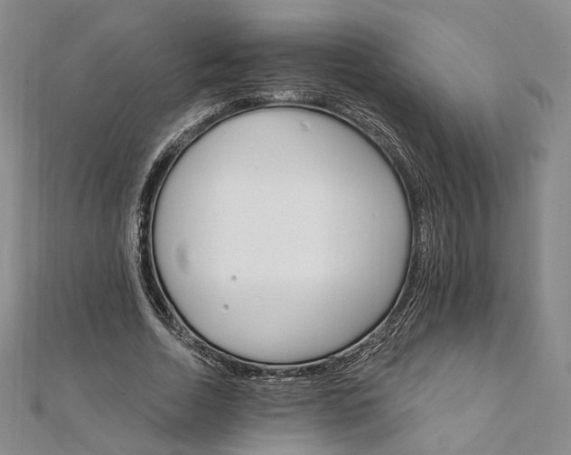 X0000111910730200908031137