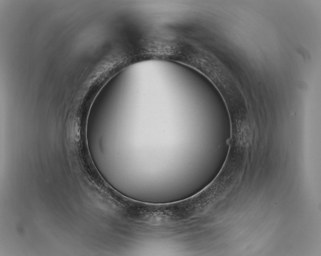 X0000111910731200908031137