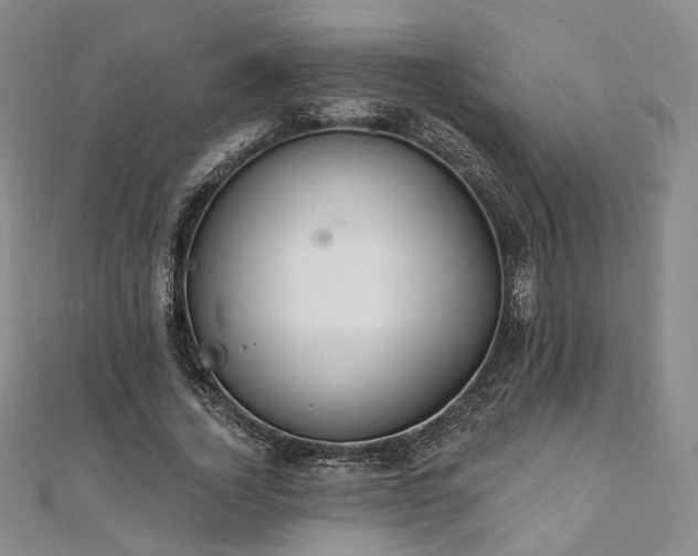 X0000111910732200908031137