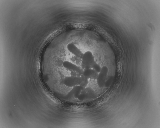 X0000111910733200908031137