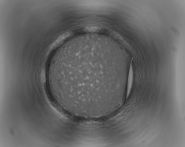 X0000111910734200908031137