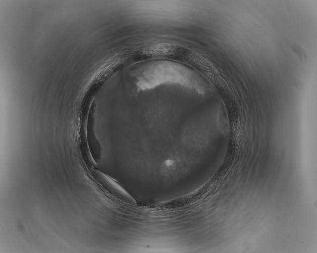 X0000111910735200908031137