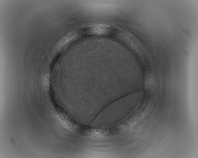 X0000111910736200908031137