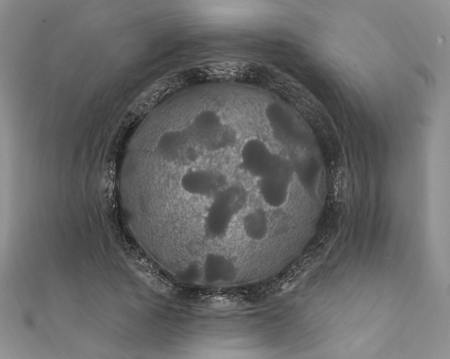 X0000111910737200908031137