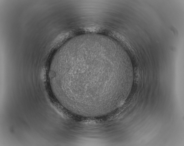 X0000111910738200908031137